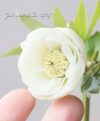 �����±�� ���ꥹ�ޥ����������إۥ磻�ȥ��֥륫�å׺餭�١�2026��D��