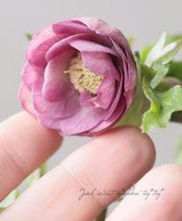 �����±�� ���ꥹ�ޥ����������إ���ƥ������ԥ󥯥��֥륫�å׺餭�١�2026��G��