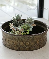 鉢・テラコッタ・プランター | Junk sweet Garden tef*tef*