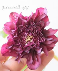 Flower Species,クリスマスローズ | Junk sweet Garden tef*tef*