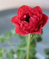 Ȭ�ź餭���ͥ�͡��إե��� ��B�����ס�