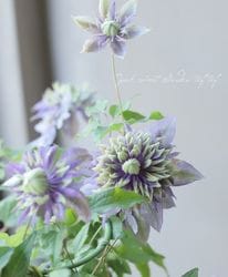 Ȭ�ź餭����ޥ������ե������ ����� -������-��