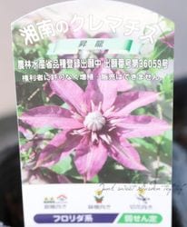 ����ޥ������ե������ �ؾ�ζ -���祦��奦-��