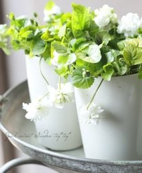 Ȭ�ź餭�ѥ�ޥ��ߥ졡�˥������ߥ� �إ��Ρ��ࡼ���