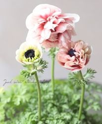 Ȭ�ź餭���ͥ�͡��إ��󥢥ꥹ�١�G�����ס�