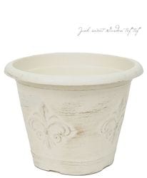 �ڻ��ߡ� ���̥ץ�ȭ�� �ץ����ݥåȥ��꡼���إ饦��ɡ����꡼���