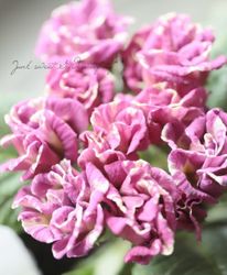 �Х�餭�ץ��顦����ꥢ�󡡡إ����ͥåȡ����֥��ȥ��������顼�١�N��