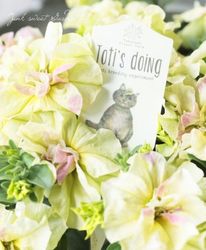 �ڹ�߷���󥪥ꥸ�ʥ�ۥڥ���˥���Ristorante Toti�ʥꥹ�ȥ��ơ��ȡ��ƥ��˥��֥륷�꡼�����ؤ����ߥ���ԥ󥯡� 