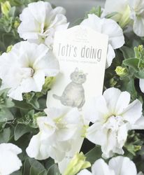 �ڹ�߷���󥪥ꥸ�ʥ�ۥڥ���˥���Ristorante Toti�ʥꥹ�ȥ��ơ��ȡ��ƥ��˥��֥륷�꡼�����ؤ⤳�ۥ磻�ȡ� 