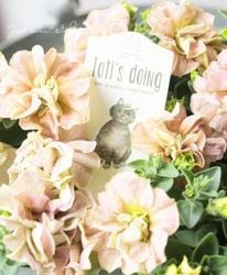 �ڹ�߷���󥪥ꥸ�ʥ�ۥڥ���˥���Ristorante Toti�ʥꥹ�ȥ��ơ��ȡ��ƥ��˥��֥륷�꡼�����إۥ磻�ȥ٥꡼�� 