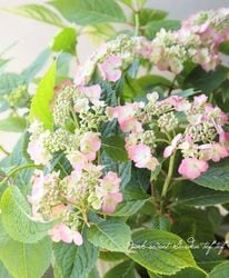 �����۲֡���ͼ����