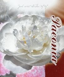 ���� ��Ȭ�ź餭�ۥ磻�ȡ� 