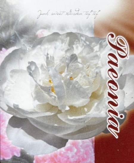 芍薬 『八重咲きホワイト』 | すべての商品 | | Junk sweet Garden tef