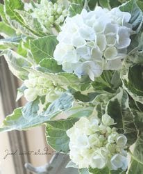 ��������۲֡��إ������󥭥�饯�����١��ڥ֥롼��