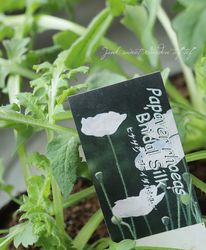 ��֥��㡼��ݥԡ� �إ֥饤���륷�륯�� �ҥʥ���