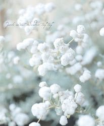 �ǥ����饹�ƥ��ꥹ���إ����ӥե������