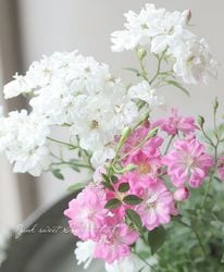 �ߥ˥Х� ��󥲥���������Ȭ����ɱ -���ĥҥ�-�١�2���餭��
