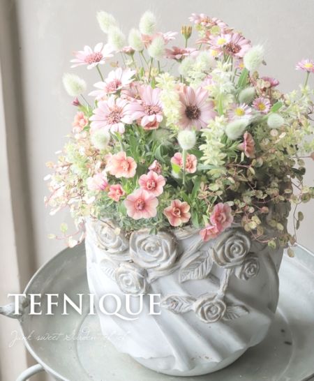 天然、菜の花の強化苗３０株セット＋プティ粗品＋全国匿名送料無料、同梱可能です☘ 2026母の日の寄せ植え 『ドレープローズバージョン』 | すべての商品