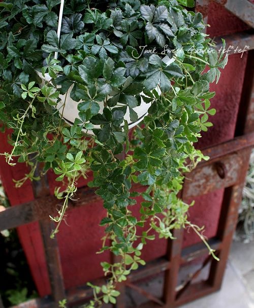 �����դäѤ��İ��餷��❤���奬���Х���5���ߤ�ȭ���֤餵���Ƥ͡���