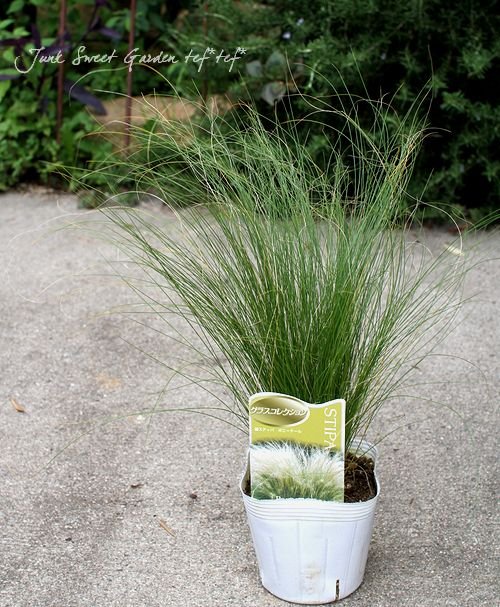 ����å����إ��ƥ��С��ݥˡ��ơ����