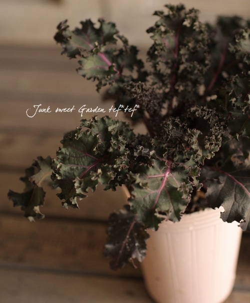 ��ޯ��ʤ����❤�󤻿����ˡ�������إ�åɥܥ���