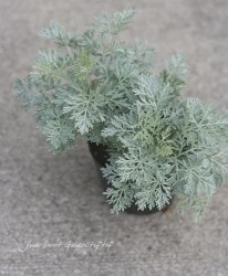 ����ƥߥ������إܥ�������å����