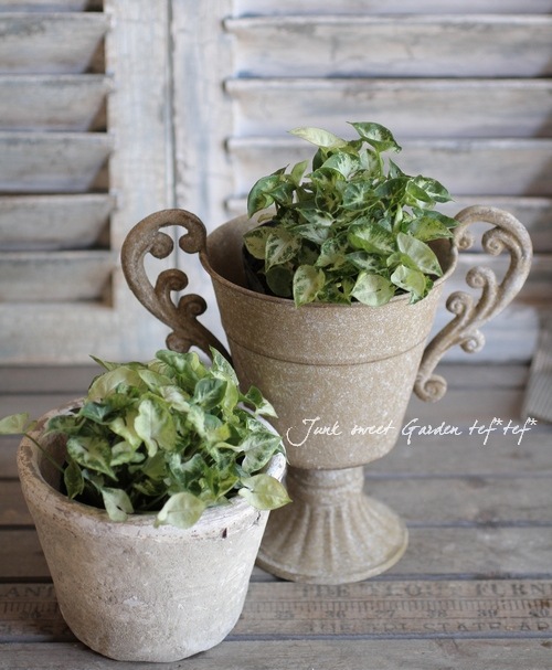 【NEW】美品♡ 辛子色×緑 作家物 騎士 馬 植物 正絹 小紋 パールトーン NEW】美品♡ 辛子色×緑 作家物 騎士 馬 植物 正絹 小紋 パール