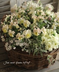 tef*tef*�����ƥ��󤻿���<BR>2013ǯ�� * no.2*<BR>�Х����å�L������