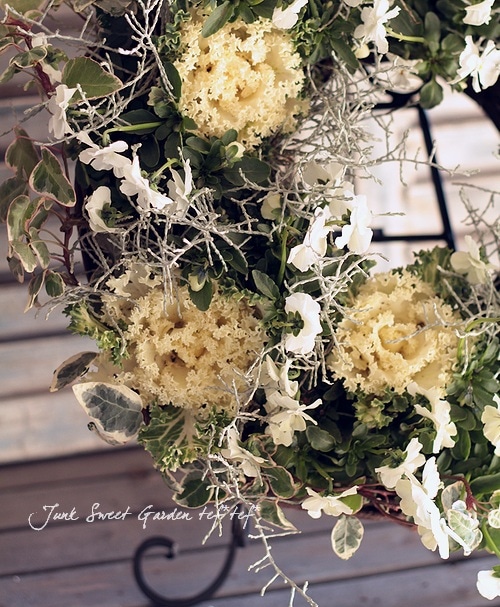 大きいリース☆ウエディングプレート側にも♡ ビオラと葉牡丹の寄せ植えリース ☆*:.｡. 幸せのwreath 「 木漏れ日と