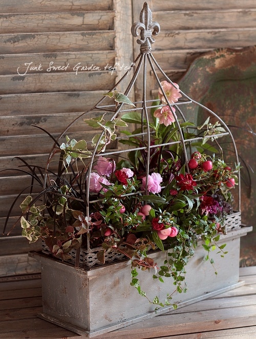 Tef Tef 寄せ植え Br No 107 Br クリスマス ピンク系 寄せ植え Junk Sweet Garden Tef Tef Tef Tef 寄せ植え Br No 107 Br クリスマス ピンク系 寄せ植え Junk Sweet Garden Tef Tef