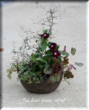 tef*tef*�󤻿���*No3*