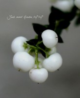 ¤ڤࡪ<BR>إڥͥåƥ<BR>ڡ