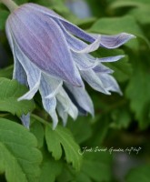 ���ȥ饲�ͷϥ���ޥ���<BR>�إ����å���ȥ��<BR>5��ȭ