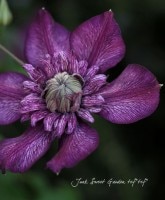 �������OK��<BR>Ȭ�ź餭����ޥ���<BR>�إ�������5����ȭ