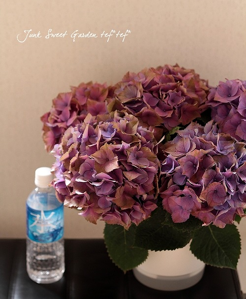 紫陽花 様 R-619 ✴︎レジンカボション✴︎レッド7種⁎⁎⁺˳✧༚ 送料無料！秋色紫陽花<BR>『秋色レッド』<BR>6号鉢 | すべての商品