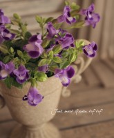 �Ƥ˶����ȥ�˥����ࡼ�󥷥꡼�����إ֥롼�ࡼ���