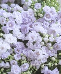 ����ѥ˥�顡���ꥶ�٥�����С����إ֥롼��