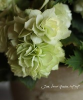 ꡼٥˥<BR> ꥶ١ȡ<BR>4