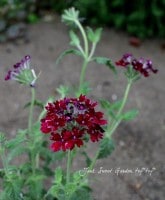 ���å��ʲֿ�❤<BR>�ɺ��С��٥�<BR>�إС�����ǥ���3.5����