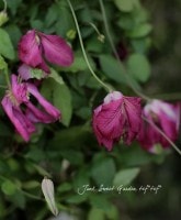 ����ޥ���<BR>�إӥ�����ϸ����<BR>6����ȭ