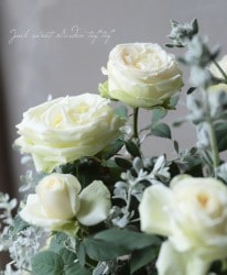 �ߥ˥Х顡�إѡ��륳����ʡ�