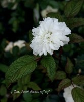 إ֥ޡˡ<BR>̾إȥ󥤥Х١إȥХ<BR>6ȭ