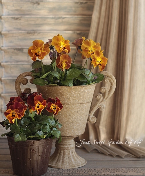 7ep●HF INTERNATIONAL/ 都会 SBP-06盤 7ep○HF INTERNATIONAL/ 都会 SBP-06盤 7ep○HF INTERNATIONAL/ 都会