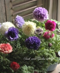 Ȭź餭ͥۡ͡ -ꥫ- MIX