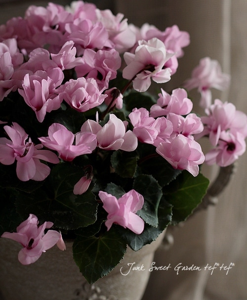 じゅんさくら★ブラジル産グリーンクオーツ★オーダー 218681-3.jpg