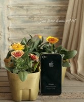 ǥ<BR>إ륪󥸡<BR>35ݥå