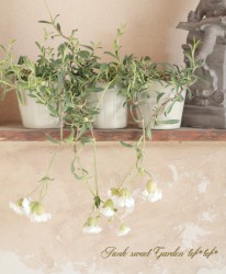 Ȭ�ź餭����͡��إ����쥤����