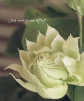 Ȭ�ź餭����ޥ���<BR>�إ����ƥ��å��������󡦥��ӥɥ�������6��ȭ