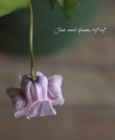 �۷�����ޥ���<BR>�إ��ꥹ�ѡ����󥸥����<BR>6���