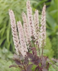 ���ߥ��ե����إԥ󥯥��ѥ�����